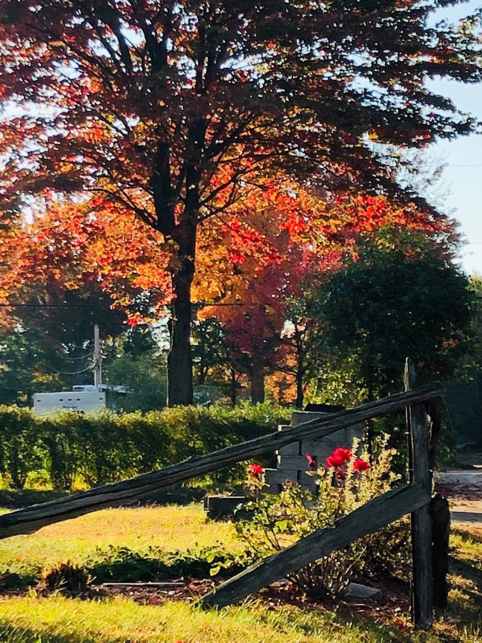 o-camping-automne-2