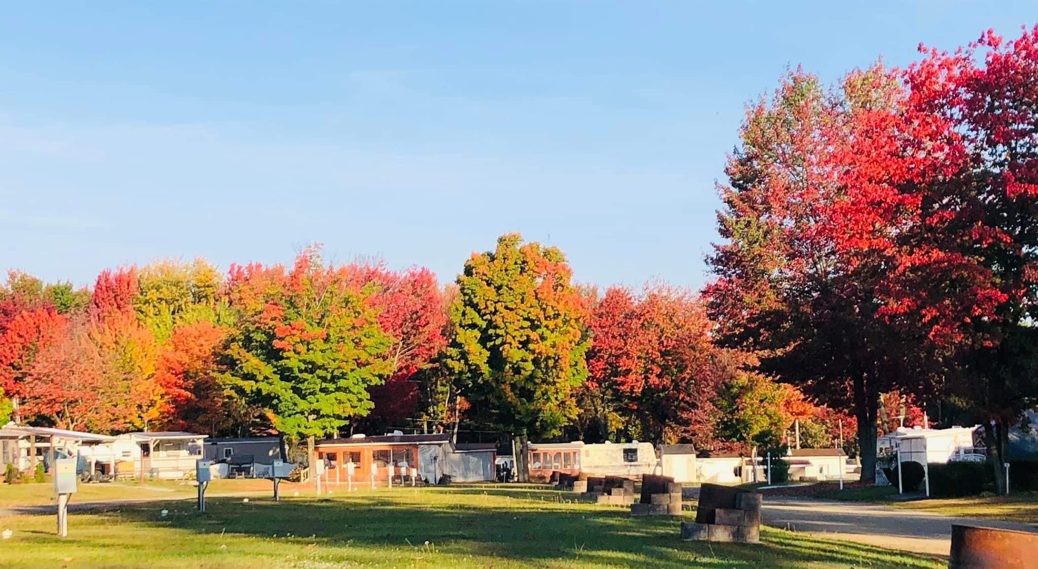 o-camping-automne-3