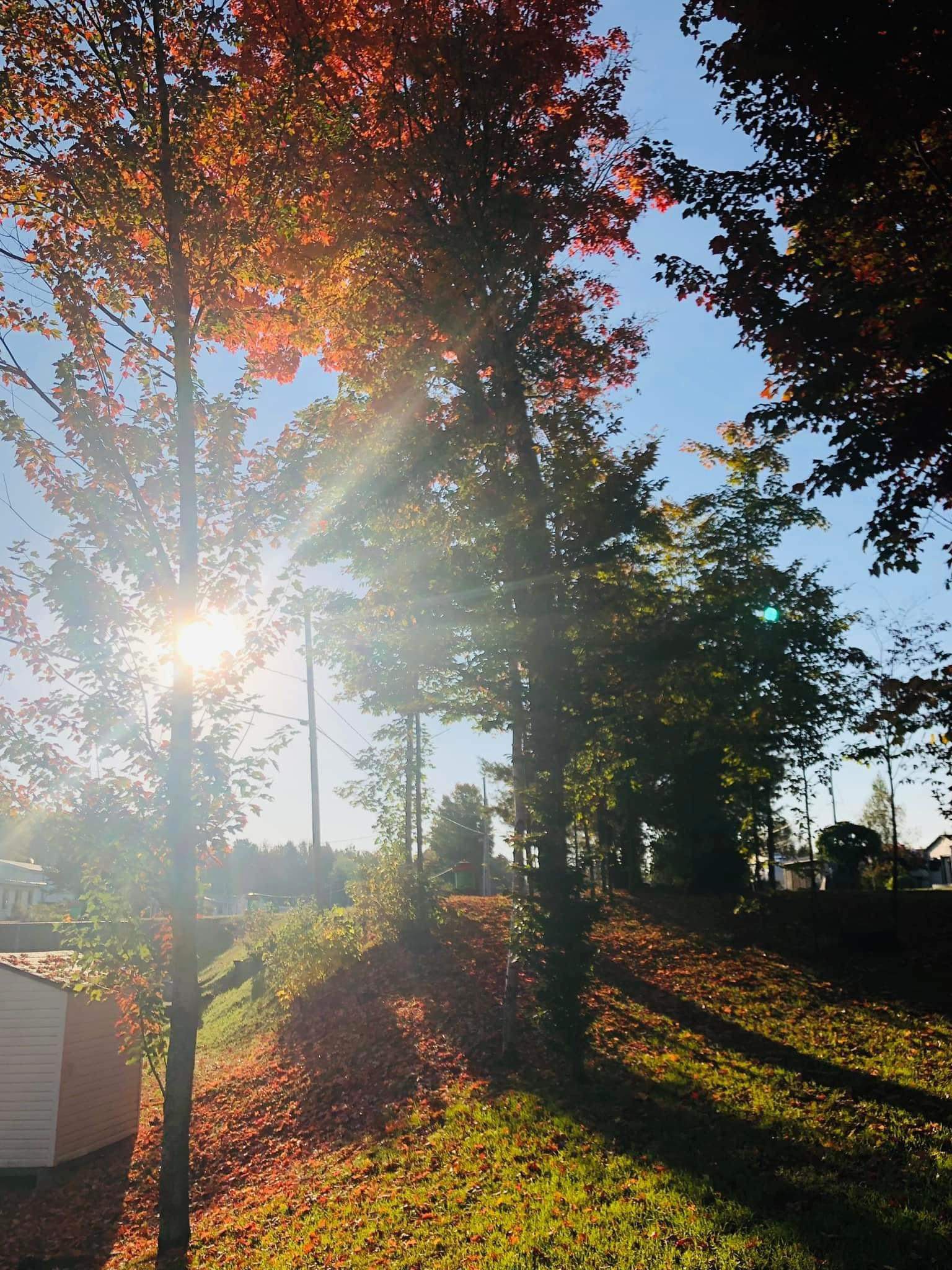 o-camping-automne-4