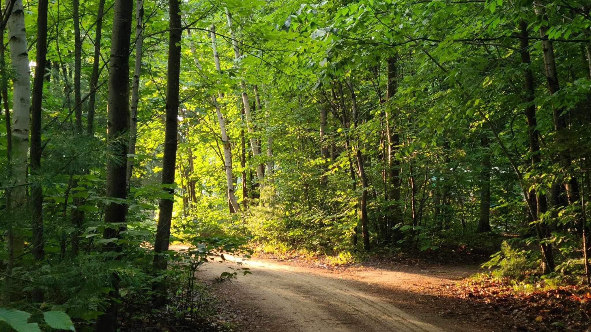 o-camping-sentier-pedestre-4